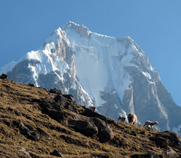 Siula Grande mountain Cordillera Huayhuash